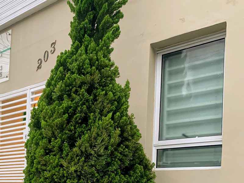 Foto 5 de Clínica Rizzo Odontologia