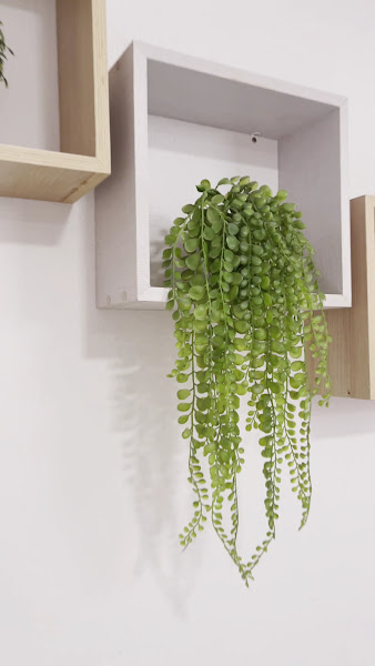 Foto 3 de Clínica +Sorriso