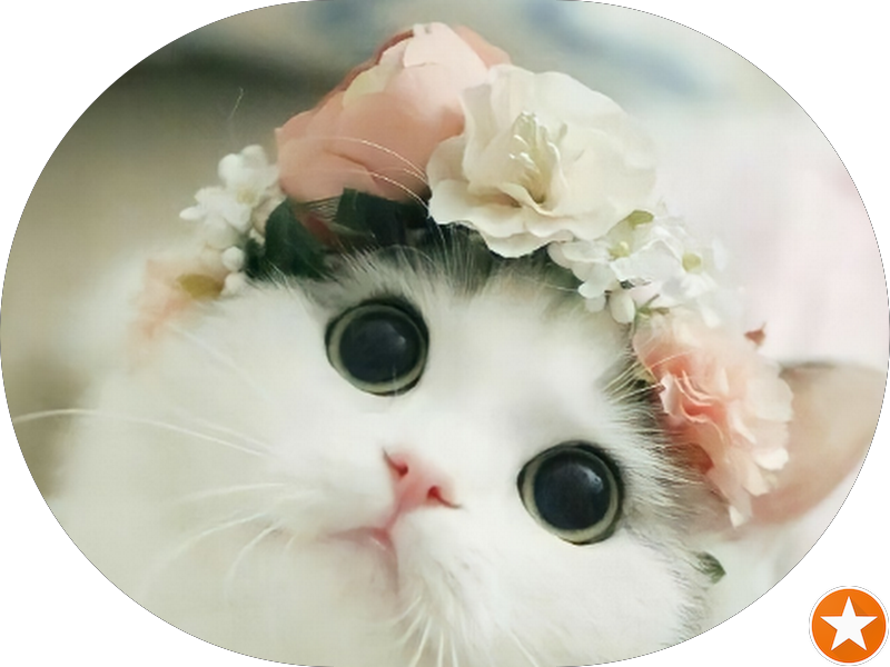 Foto 3 de Clinica Sorriso