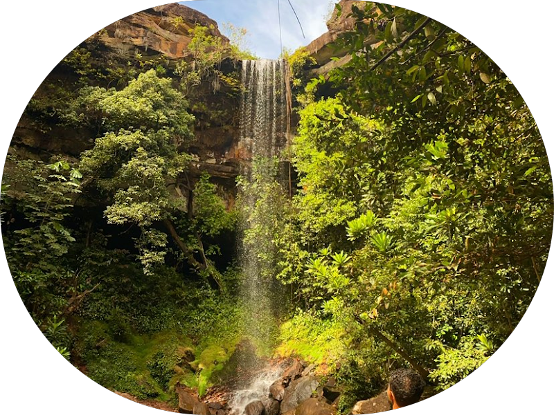 Foto 4 de Clínica Sorriso do Povo Liberdade