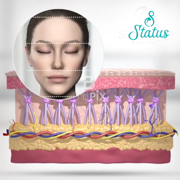 Foto 3 de Clínica Status Bauru | Saúde e Estética Integrativa e Terapia Capilar