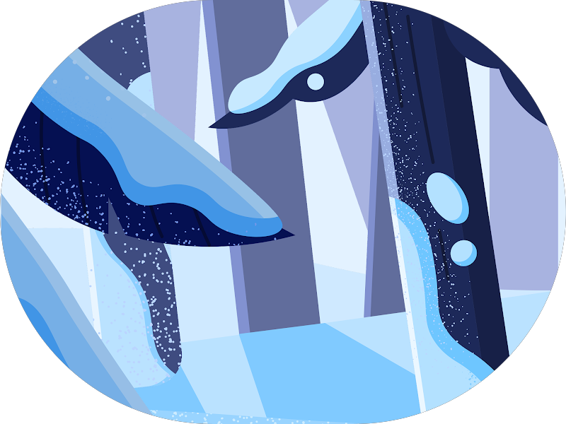 Foto 4 de Clinica Tempo Odontologia