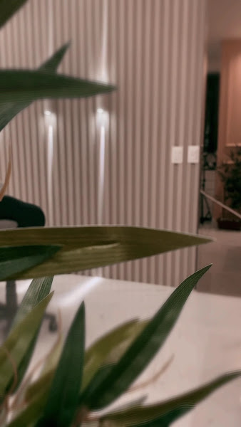 Foto 4 de Clínica Thayná Silveira