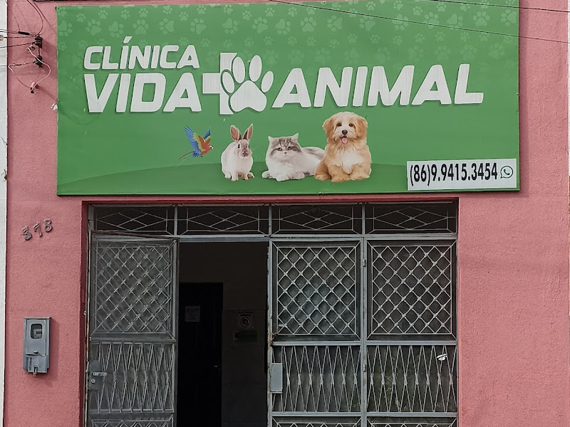 Foto 3 de Clínica Vida Animal