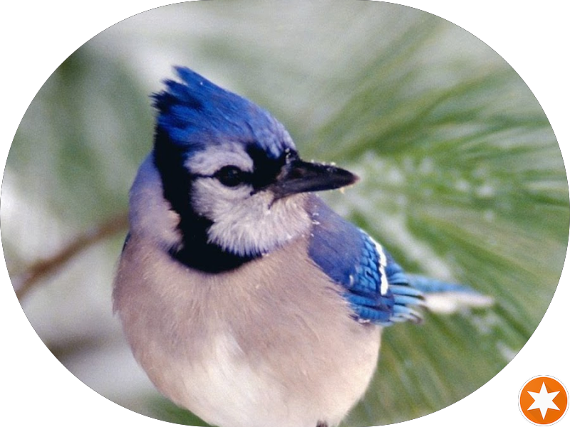 Foto 4 de Clínica Vitaris | Odontologia em Taubaté