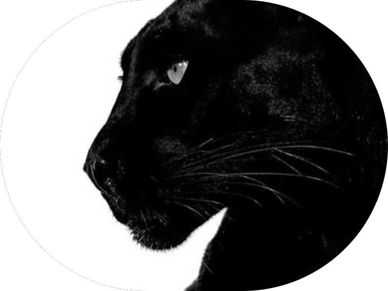 Foto 2 de Clinicas Uniao