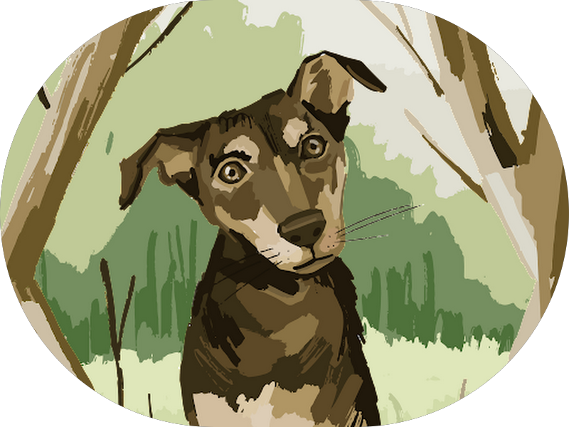 Foto 7 de Clodi | Clínica Odontológica Ikejiri | Carapicuíba