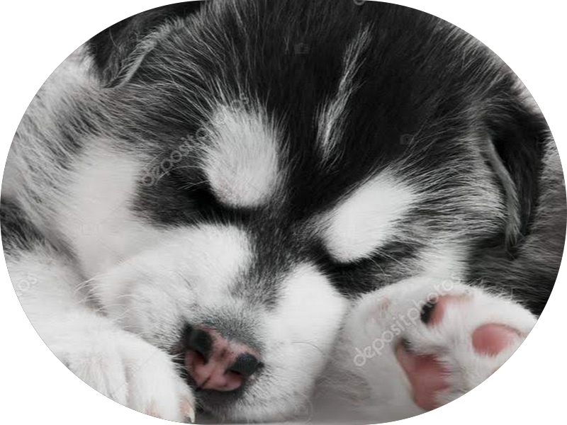 Foto 2 de CMOH SAÚDE