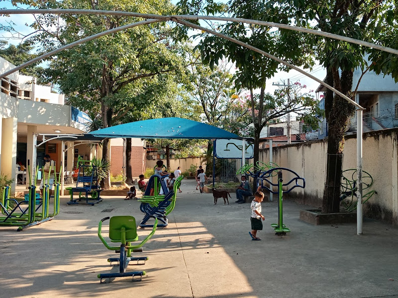 CMS Sylvio Frederico Brauner