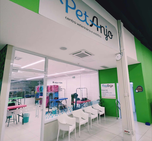 Foto 2 de Cobasi Rio Vermelho - Salvador