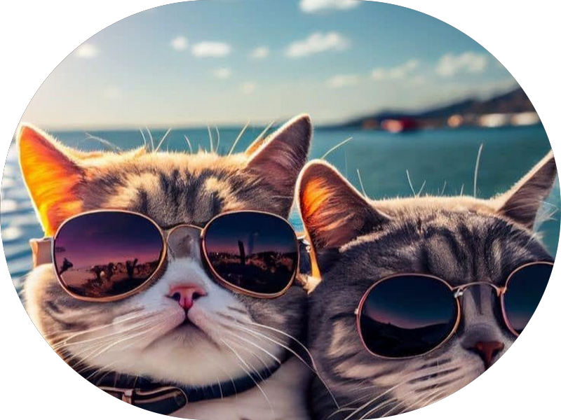 Foto 4 de COIFE Clinica Odontológica