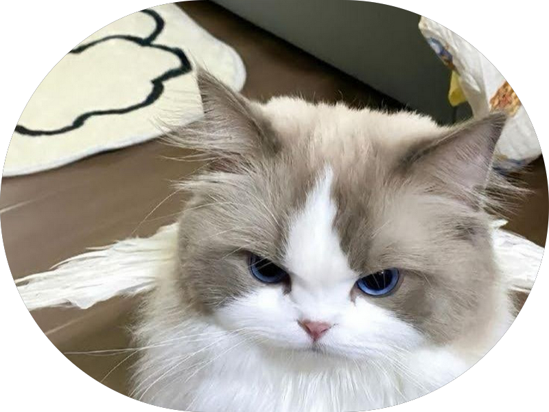 Foto 3 de Coife Odonto Belo Horizonte