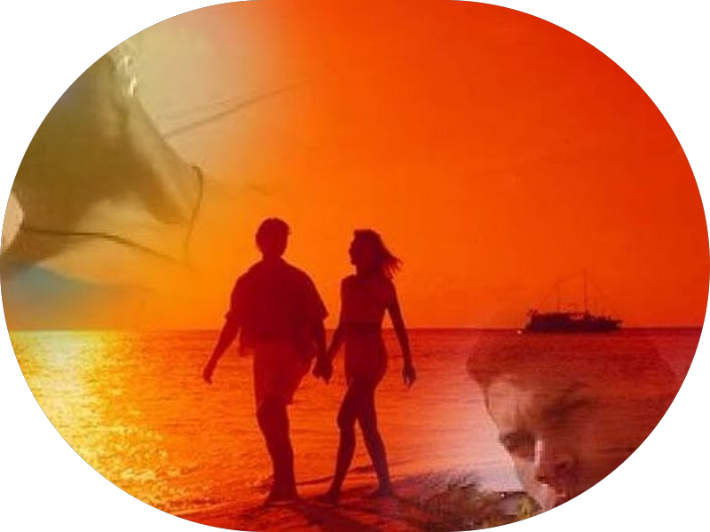 Foto 5 de Coife Odonto Campinas Dic V