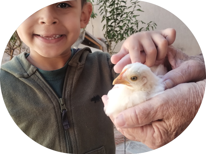 Foto 5 de Coife Odonto Jundiaí