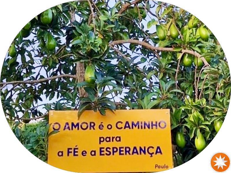 Foto 4 de Coife Odonto - Vitória da Conquista