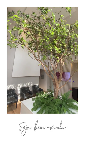 Foto 3 de COL - CENTRO ODONTOLÓGICO DO LAGO