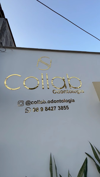 Foto 3 de Collab odontologia