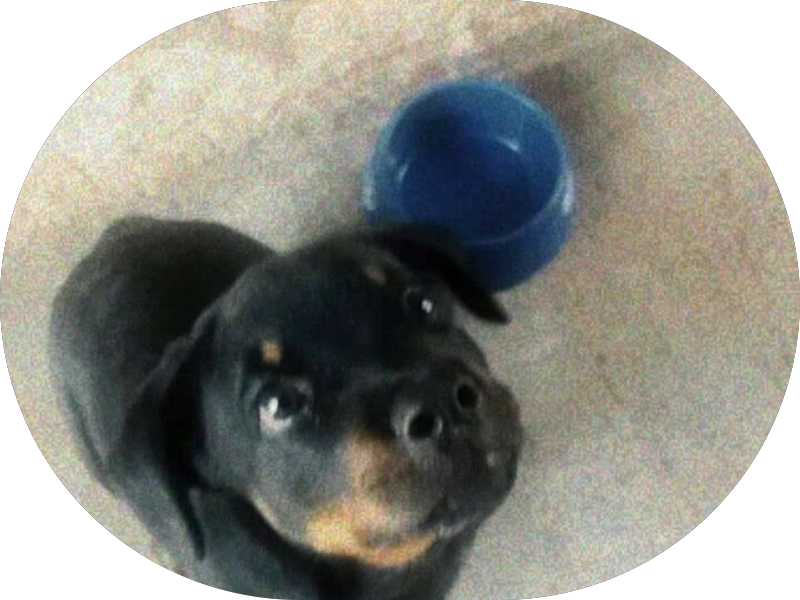 Foto 3 de Comunidade Terapêutica Casa do Amor Fraterno