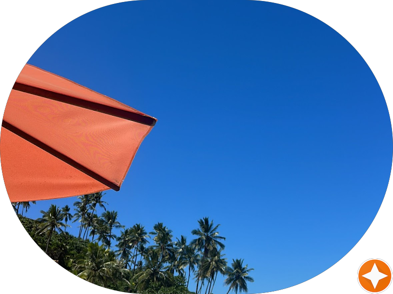 Foto 4 de Conceito Odontologia