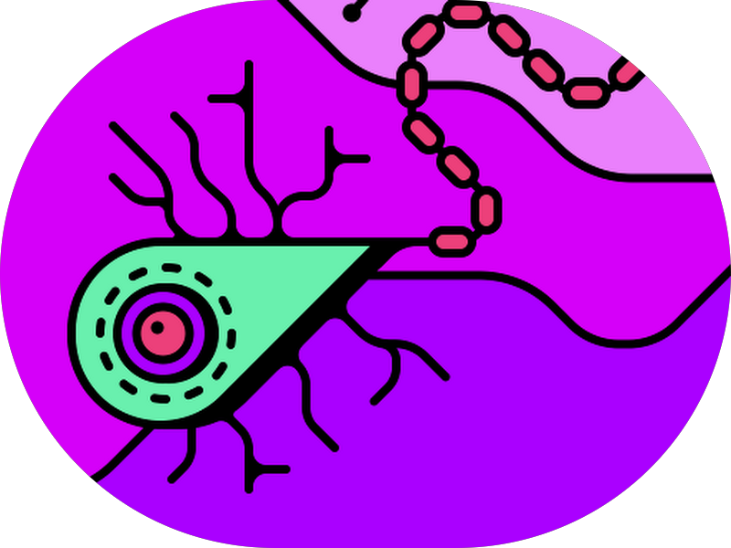 Foto 4 de Consultório de Odontologia Yamazaki