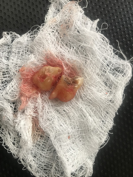 Foto 3 de Consultorio Dr. Lucas Chagas