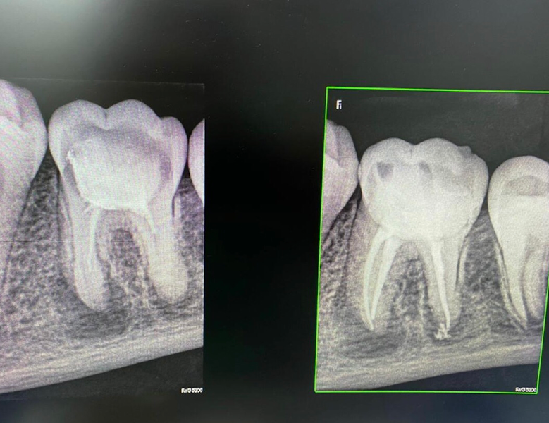 Foto 3 de Consultório Dra Alexandra M Camelo