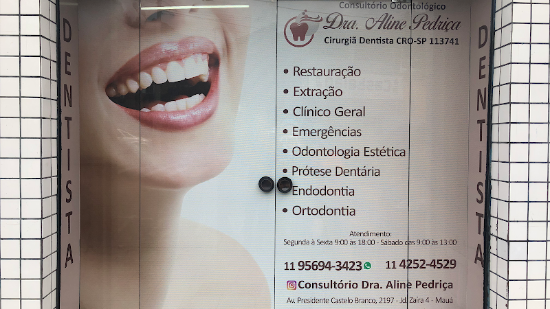 Foto 2 de Consultório Dra Aline Pedriça