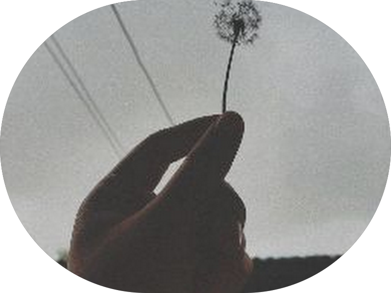 Foto 3 de Consultório Dra.Evelyne Oliveira