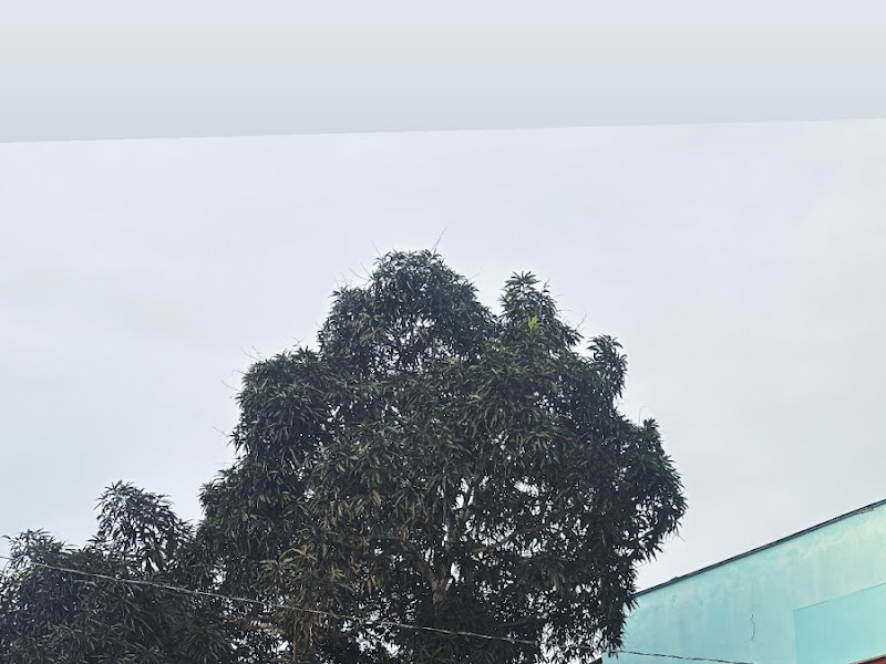 Foto de Consultório Dra.Maísa Keuma