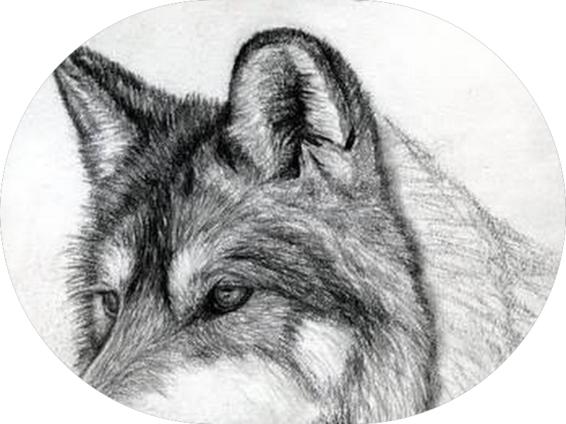 Foto 3 de Consultório Dra. Yashmin Valente