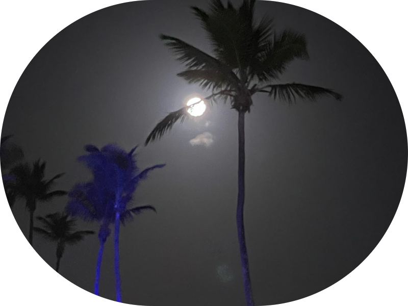 Foto 2 de Consultório Eduardo Melo