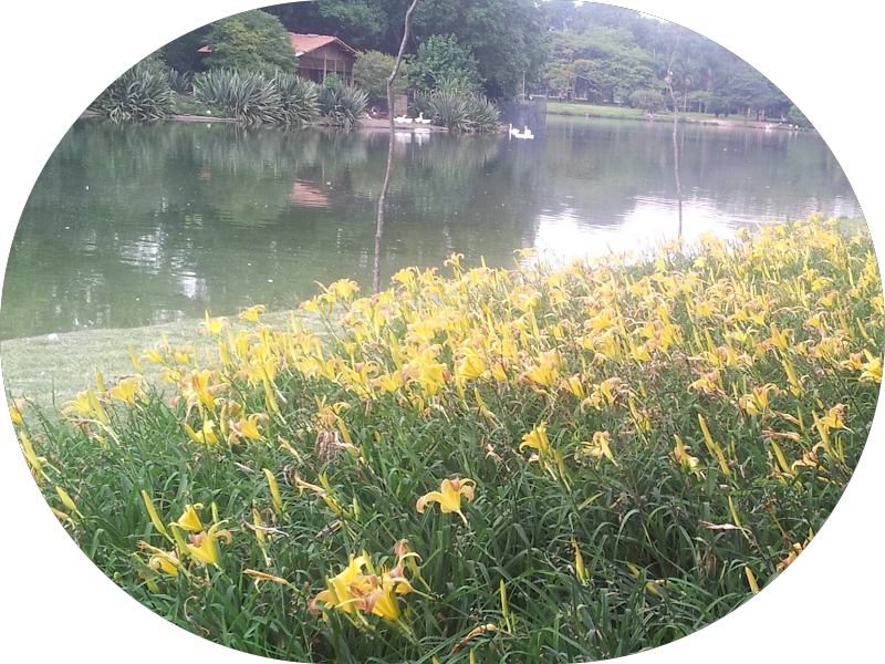 Foto 2 de Consultório Odontológico DM Implantare