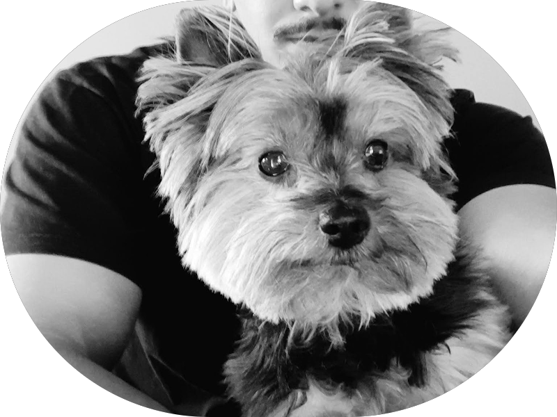 Foto 3 de Consultório Odontológico dr. Éder Guimarães