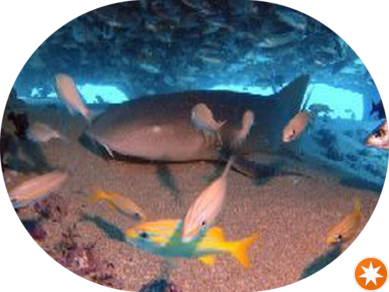 Foto 4 de Consultório Odontológico Dr. Eduardo Lemes e Dra. Nathália F. Lemes