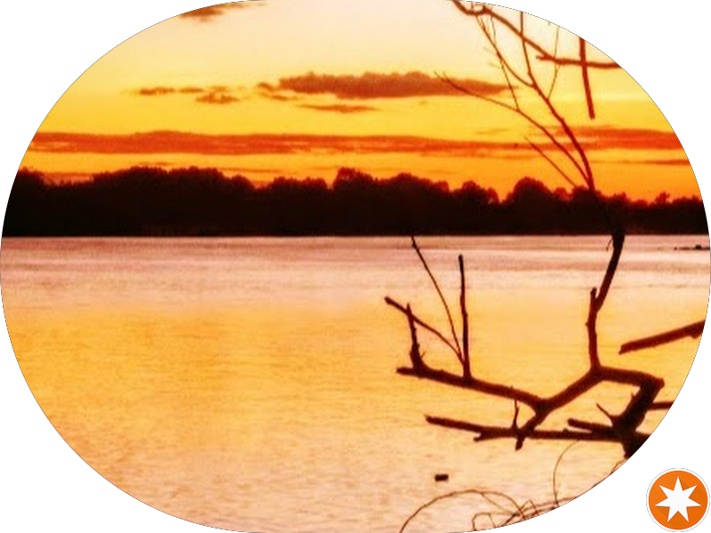 Foto 3 de Consultório odontológico Dr. Herberth