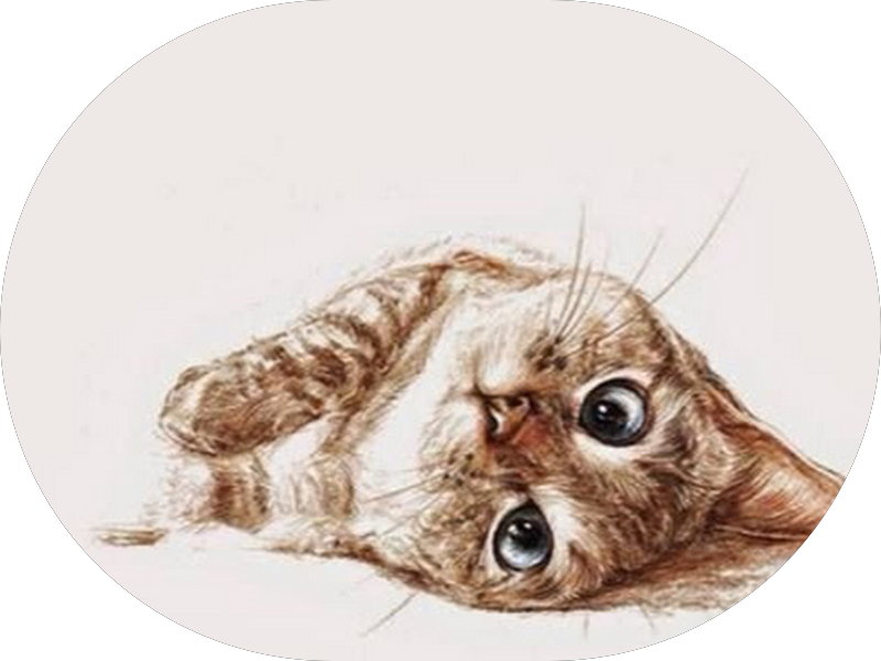 Foto 6 de Consultório Odontológico Dr. Marcelo Silva