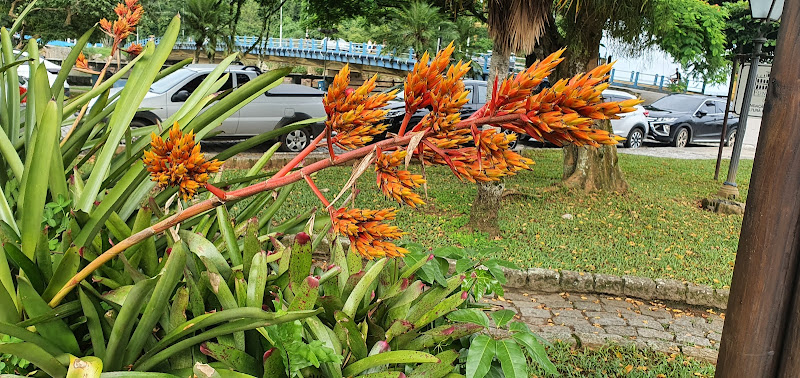 Foto 3 de Consultório Odontológico Dr. Reinaldo