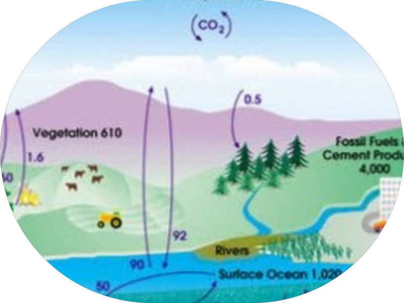 Foto 3 de Consultório Odontológico Dr. Rodolfo Cesar