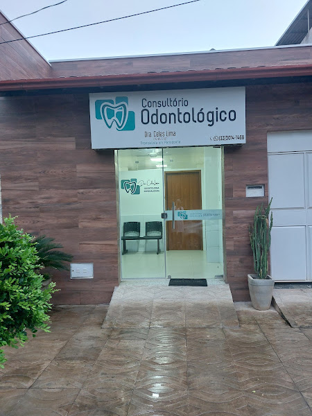 Foto 2 de Consultório Odontológico Dra Celes Lima Rosa