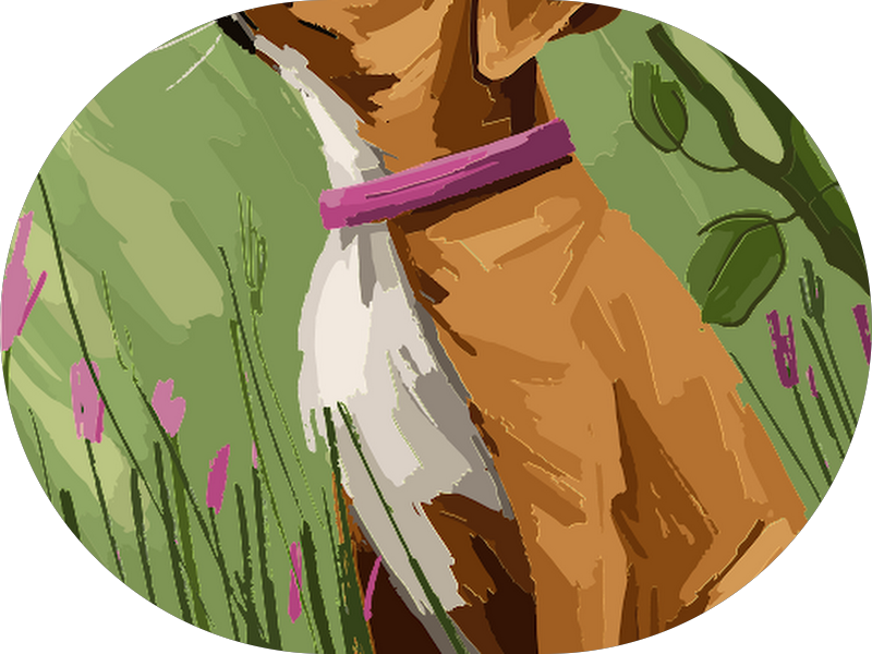 Foto 4 de Consultório Odontológico Dra. Daniele Siuves