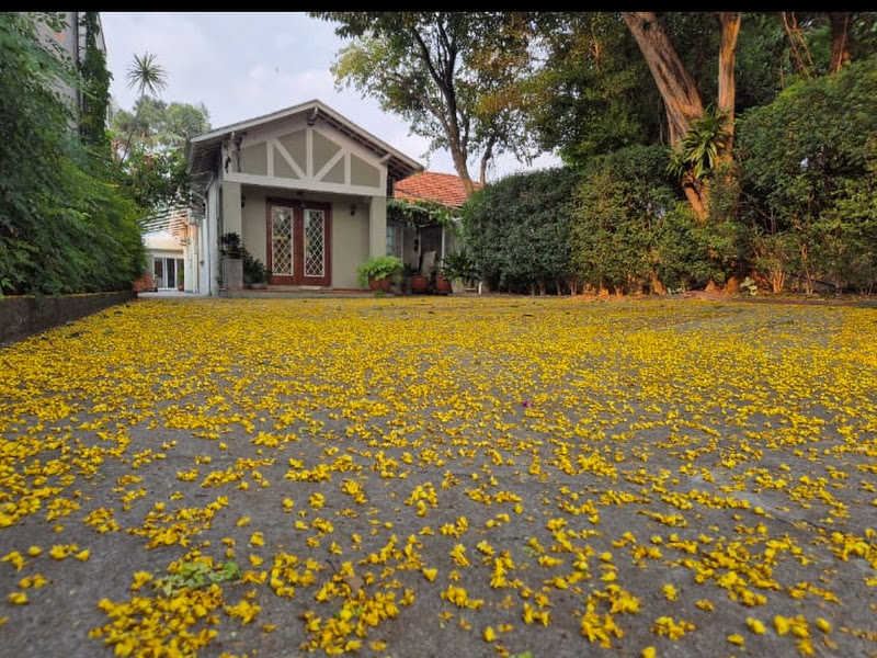 Foto 3 de Consultório Odontológico Dra. Deborah Morais Lopes