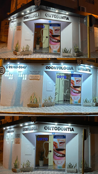 Foto 3 de Consultório odontológico Dra Edilaine Possato