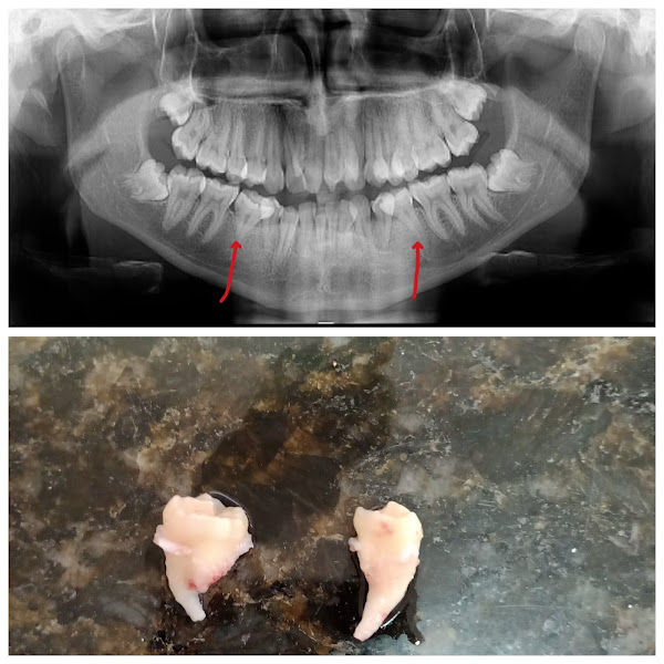 Foto 3 de Consultório odontológico, Dra Graziella Benfatti