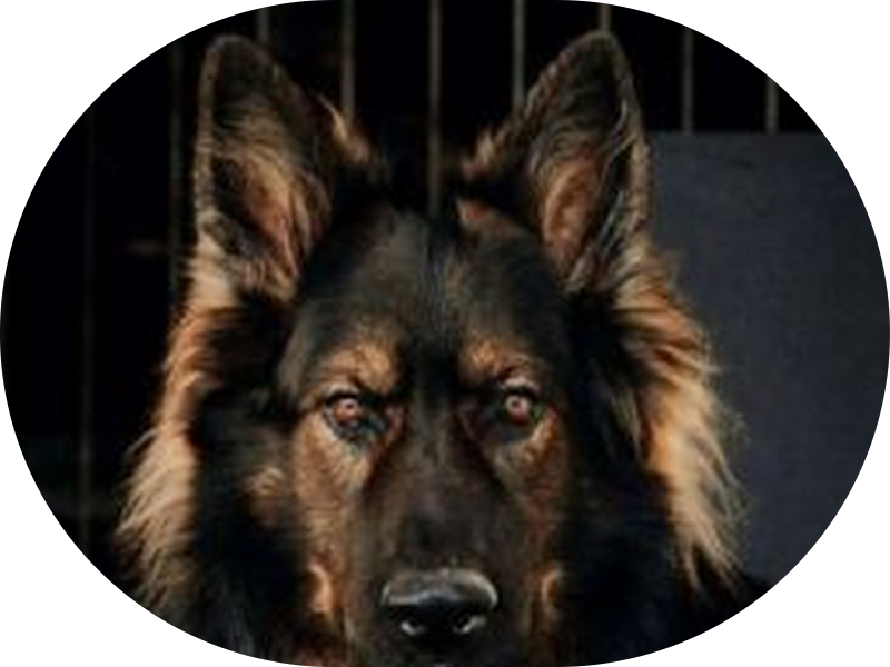 Foto de Consultório Odontológico Dra. Ingrid Gulias