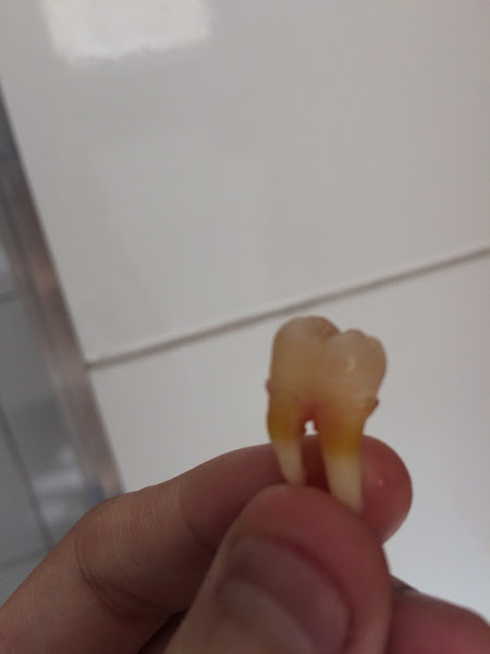 Foto 2 de Consultório Odontológico Dra Isabella Paes.