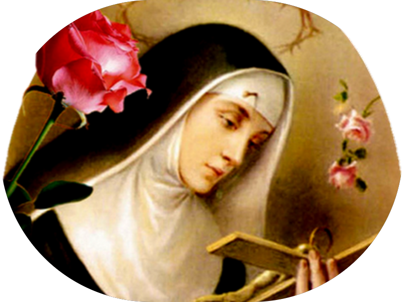 Foto 3 de Consultório Odontológico Dra Joice Fava