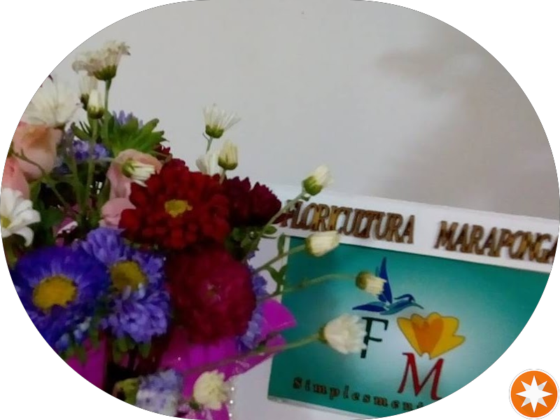 Foto 3 de Consultorio Odontológico Dra.Maria Leide