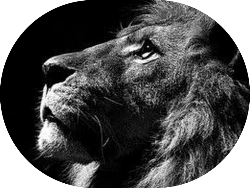 Foto 4 de Consultório Odontológico - Dra. Micaele Cavalcante & Dr. Leonardo Bardória