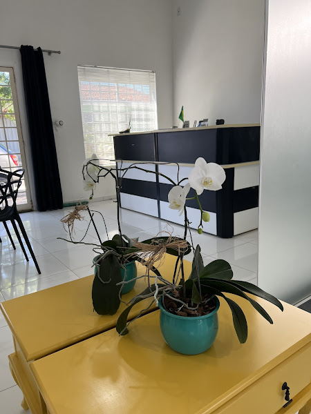 Foto 3 de Consultório Odontológico Dra Michela Cristina da Silva