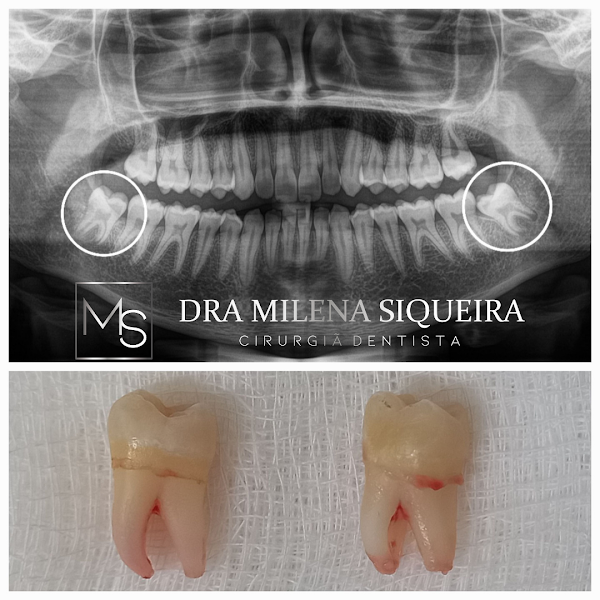 Foto 3 de Consultório Odontológico Dra Milena Siqueira